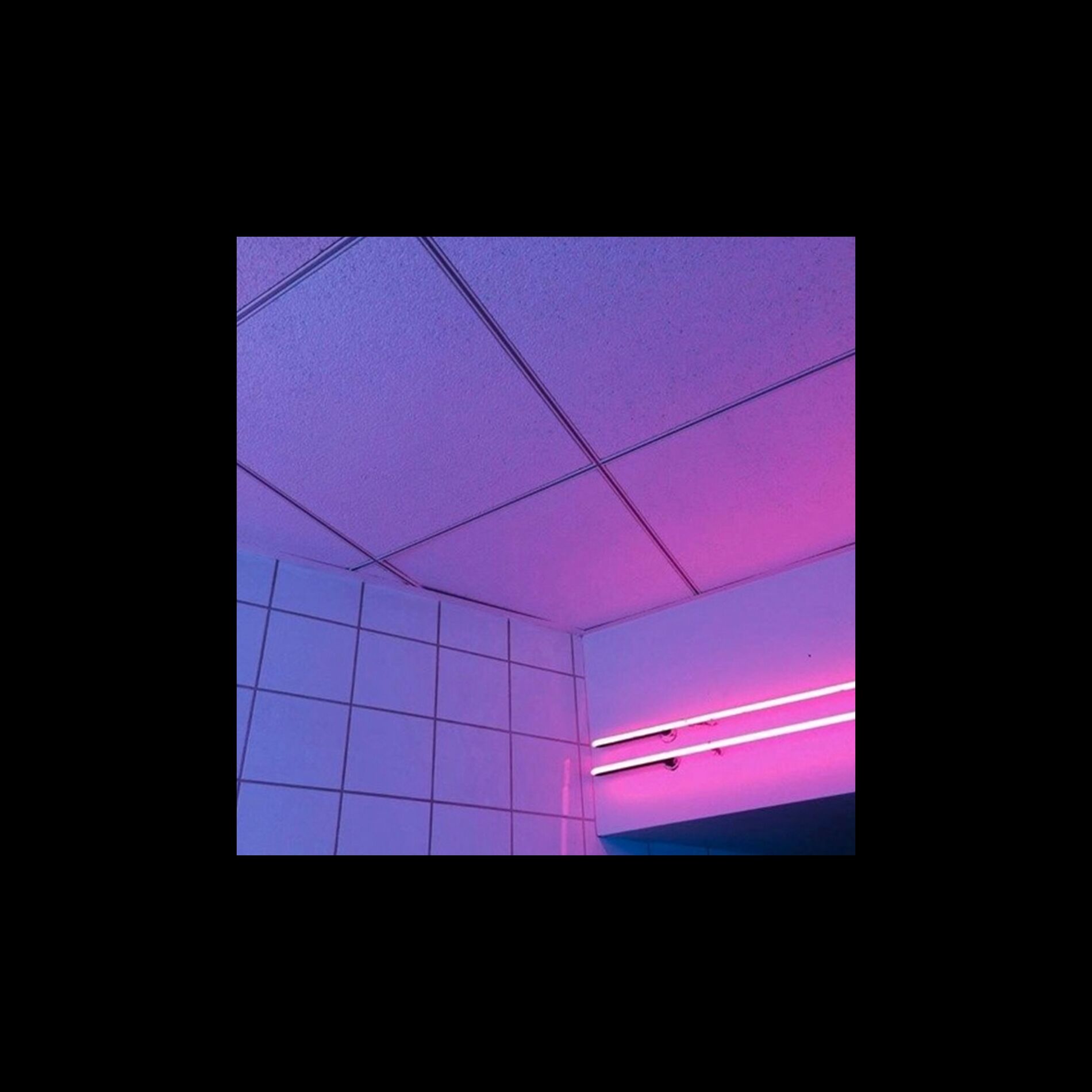 Album cover of VENUS