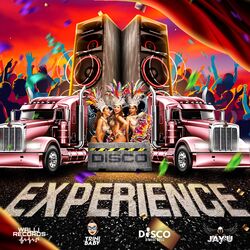 Cover of Experience