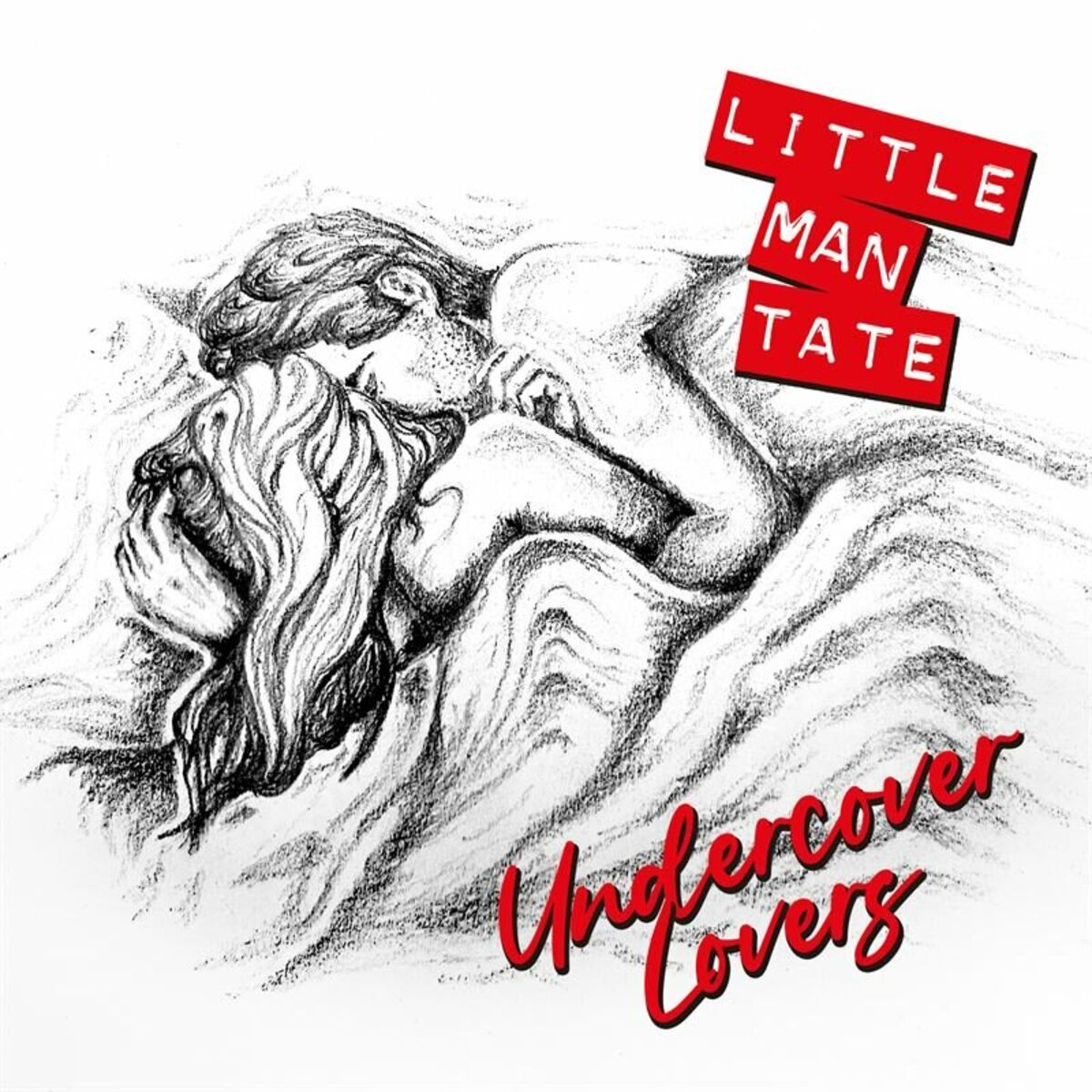 Album cover of Undercover Lovers