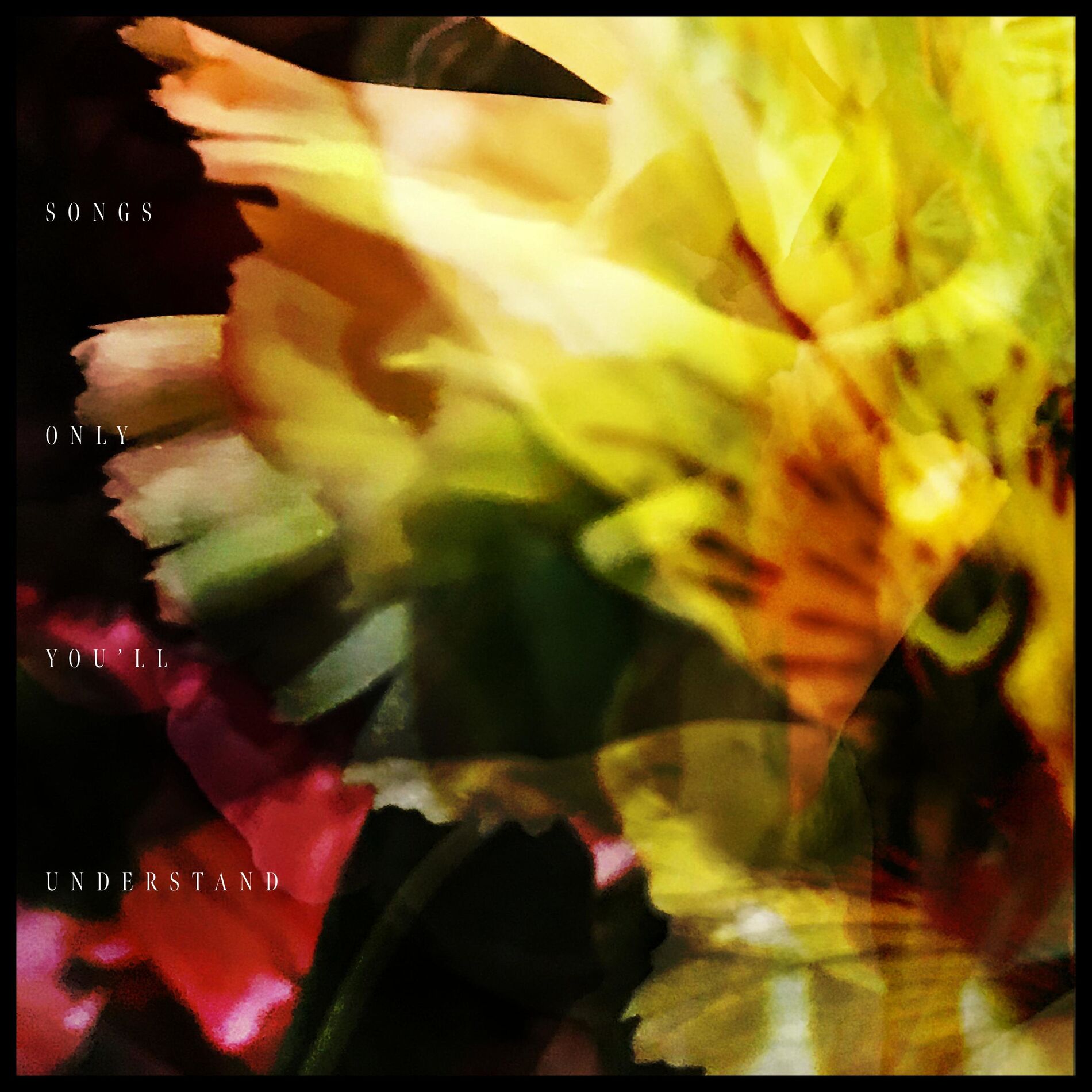 Album cover of Songs Only You'll Understand
