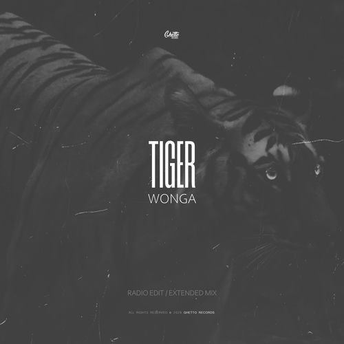 TIGER (RADIO EDIT)
