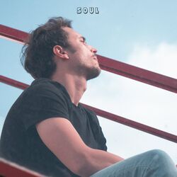 Cover of Soul
