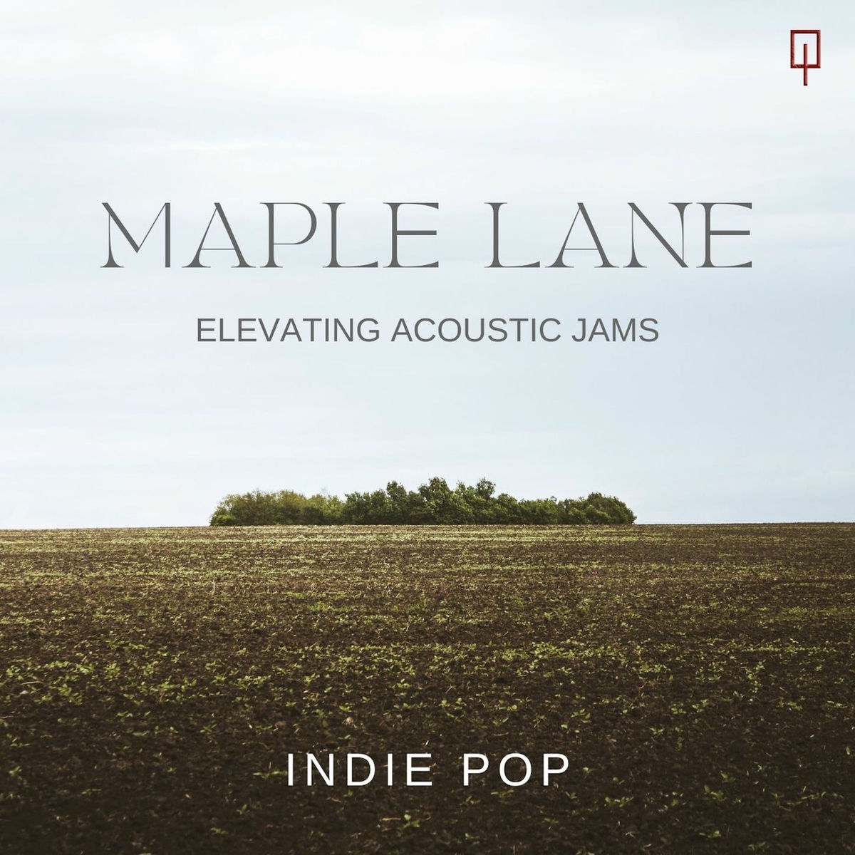 Album cover of Maple Lane: Elevating Acoustic Jams