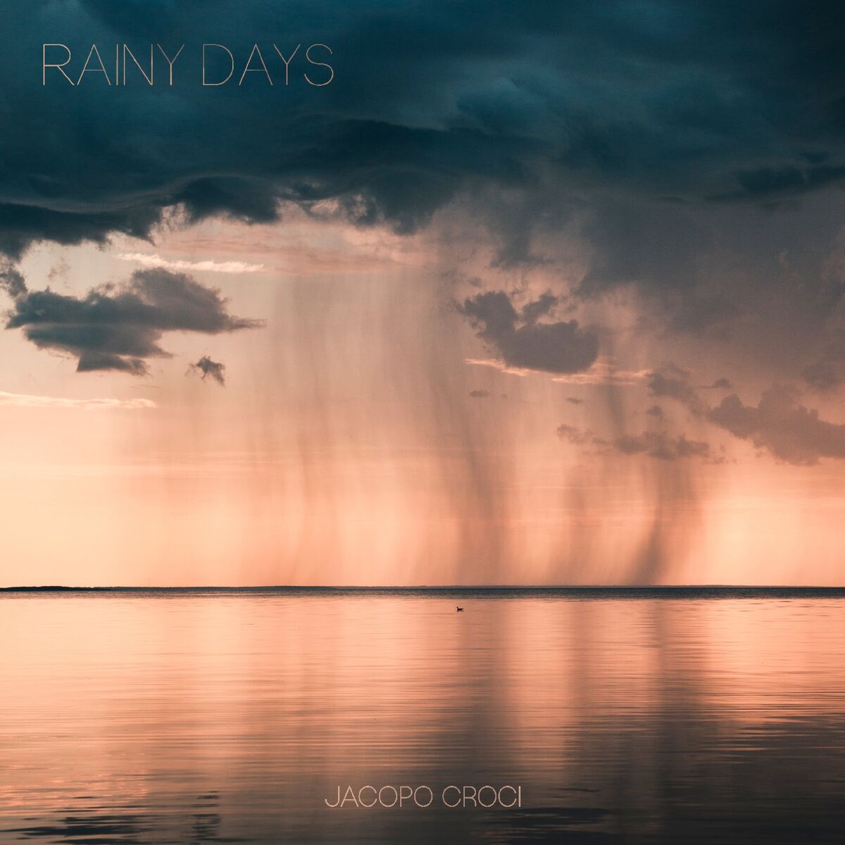 Album cover of In viaggio