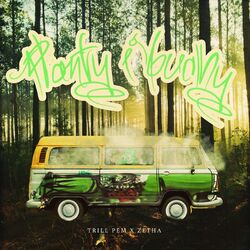 Cover of Planty i Buchy