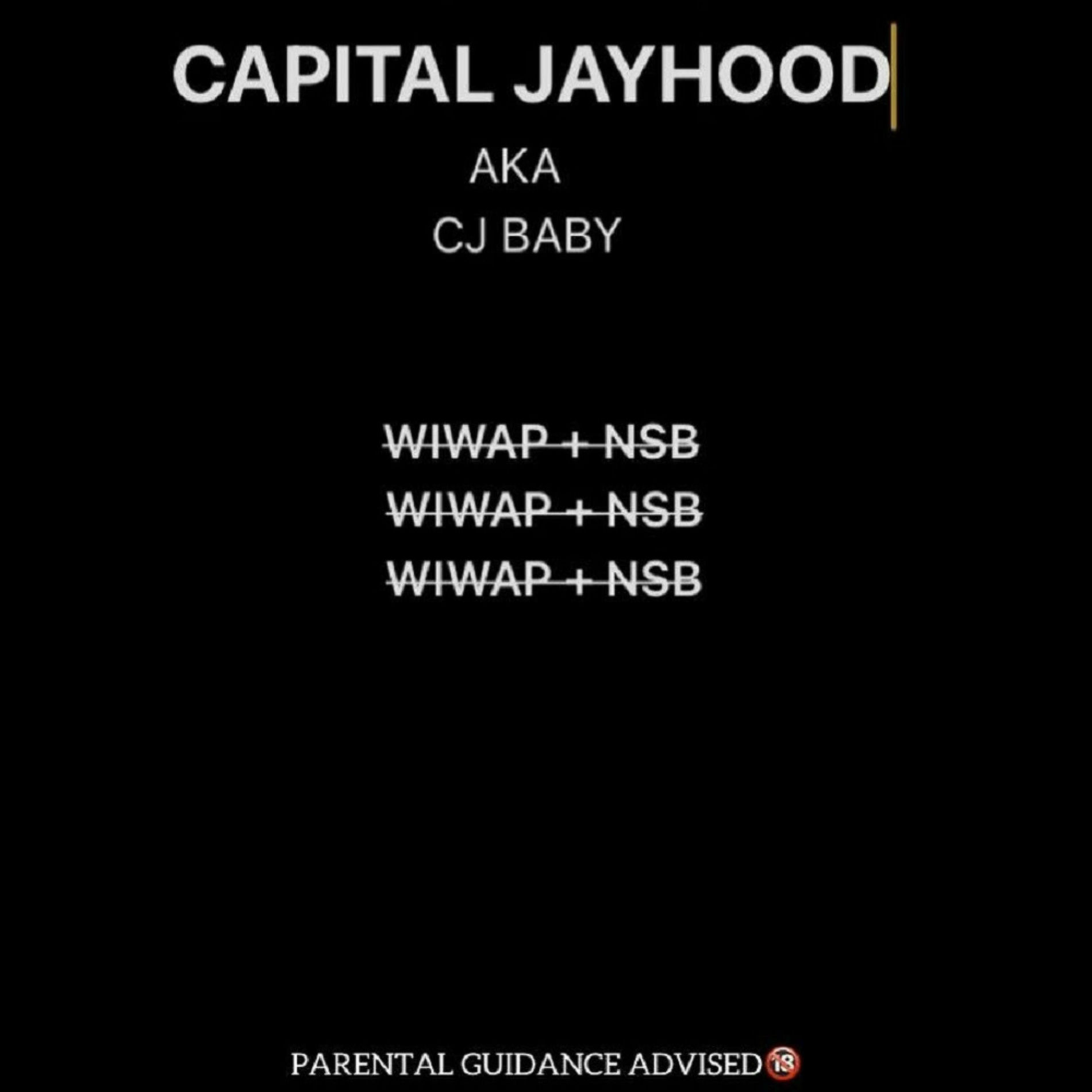 Album cover of WIWAP + NSB