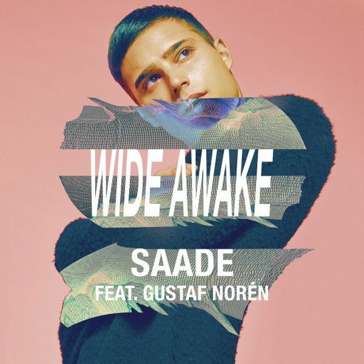Album cover of Wide Awake