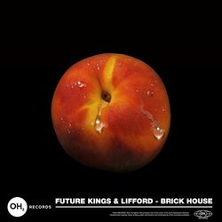 Cover of Brick House