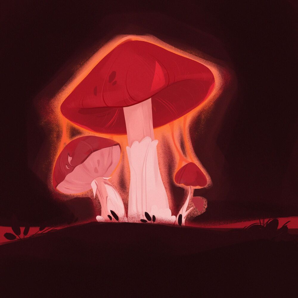 Picture of Magic Mushrooms