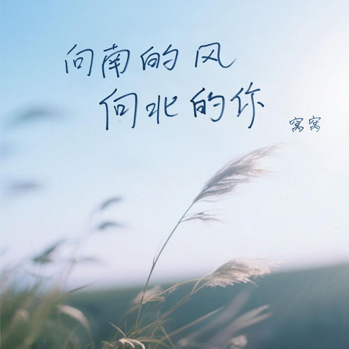 向南的风向北的你