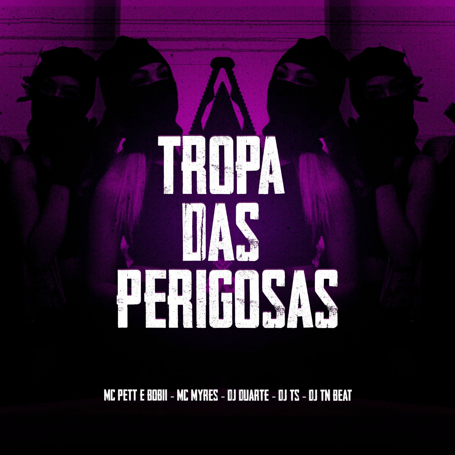 Album cover of Tropa das Perigosas