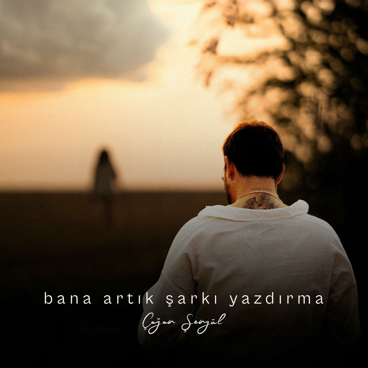 Album cover of bana artık şarkı yazdırma