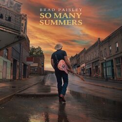 Cover of So Many Summers