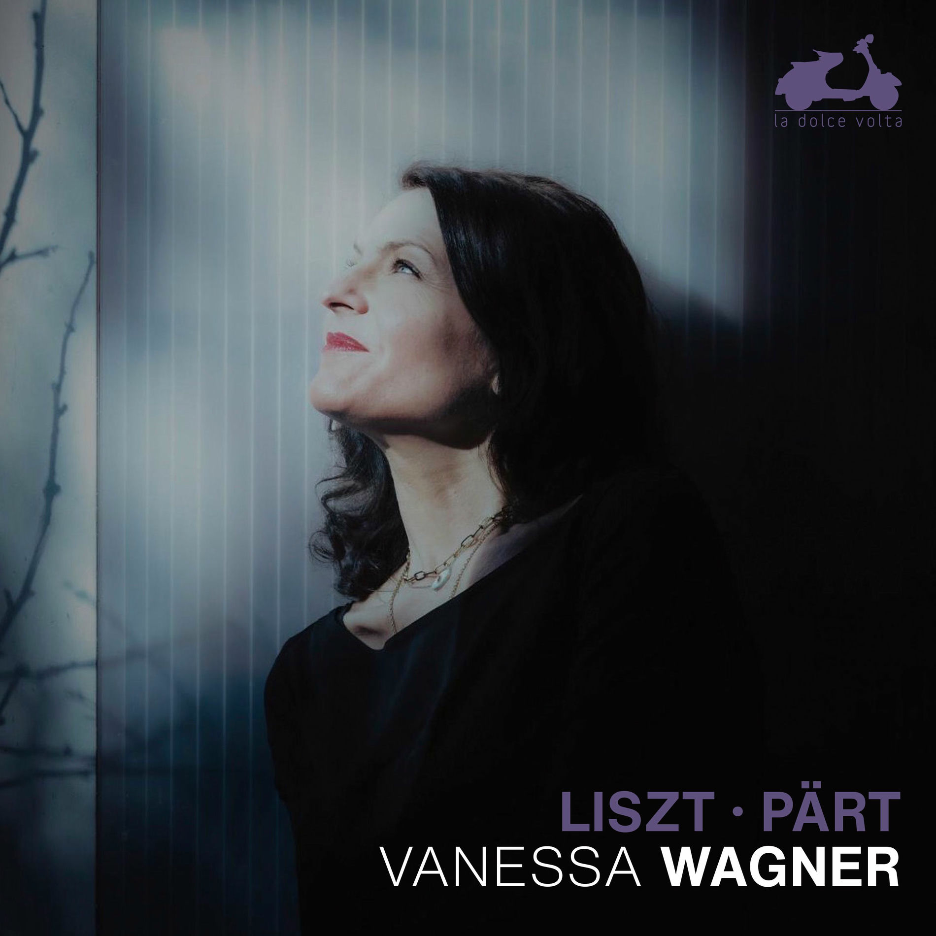 Album cover of Liszt & Pärt