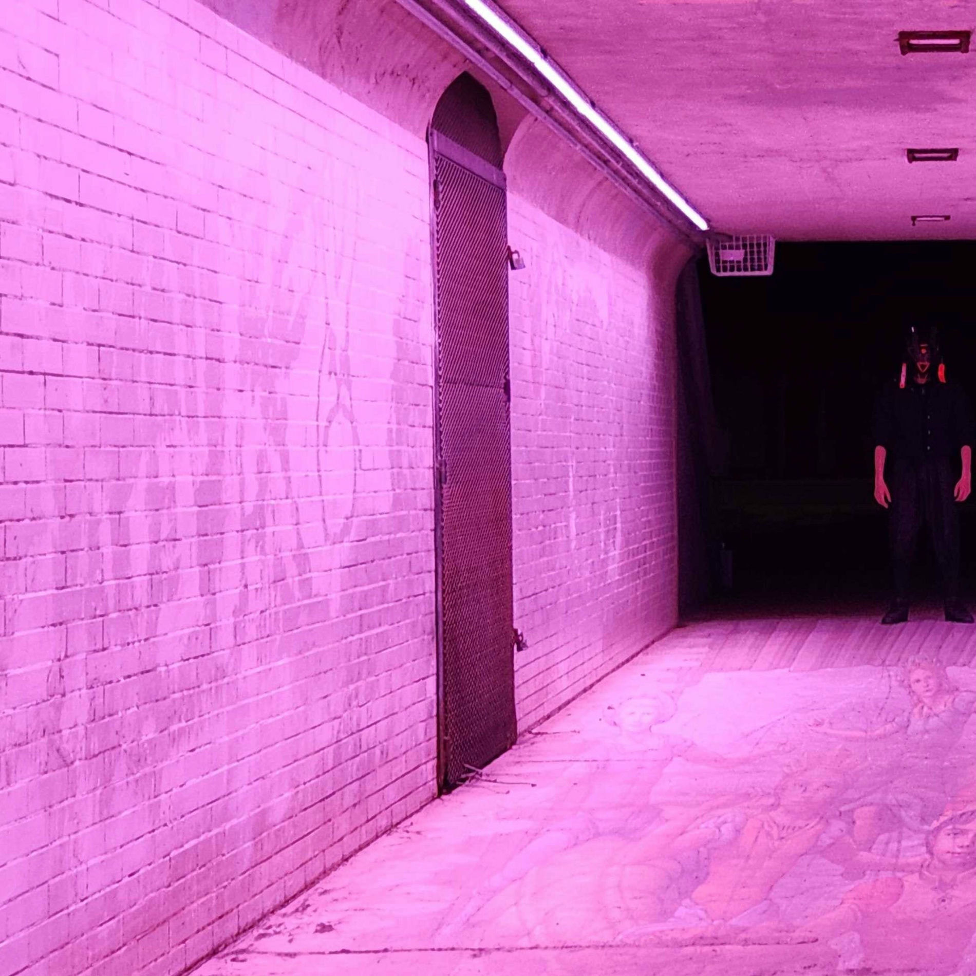 Album cover of Wylin' (feat. Lupin) [Sped up]