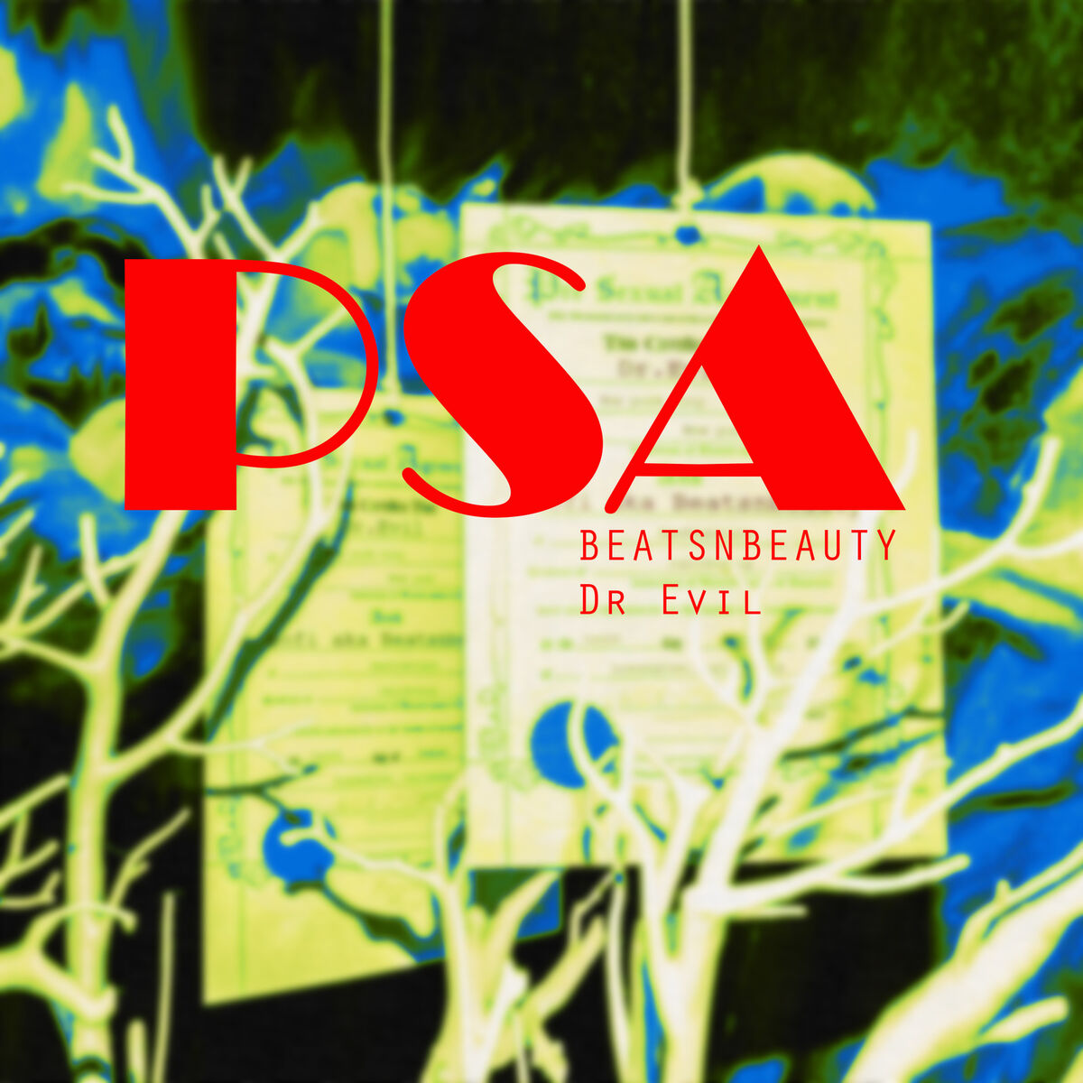 Album cover of PSA