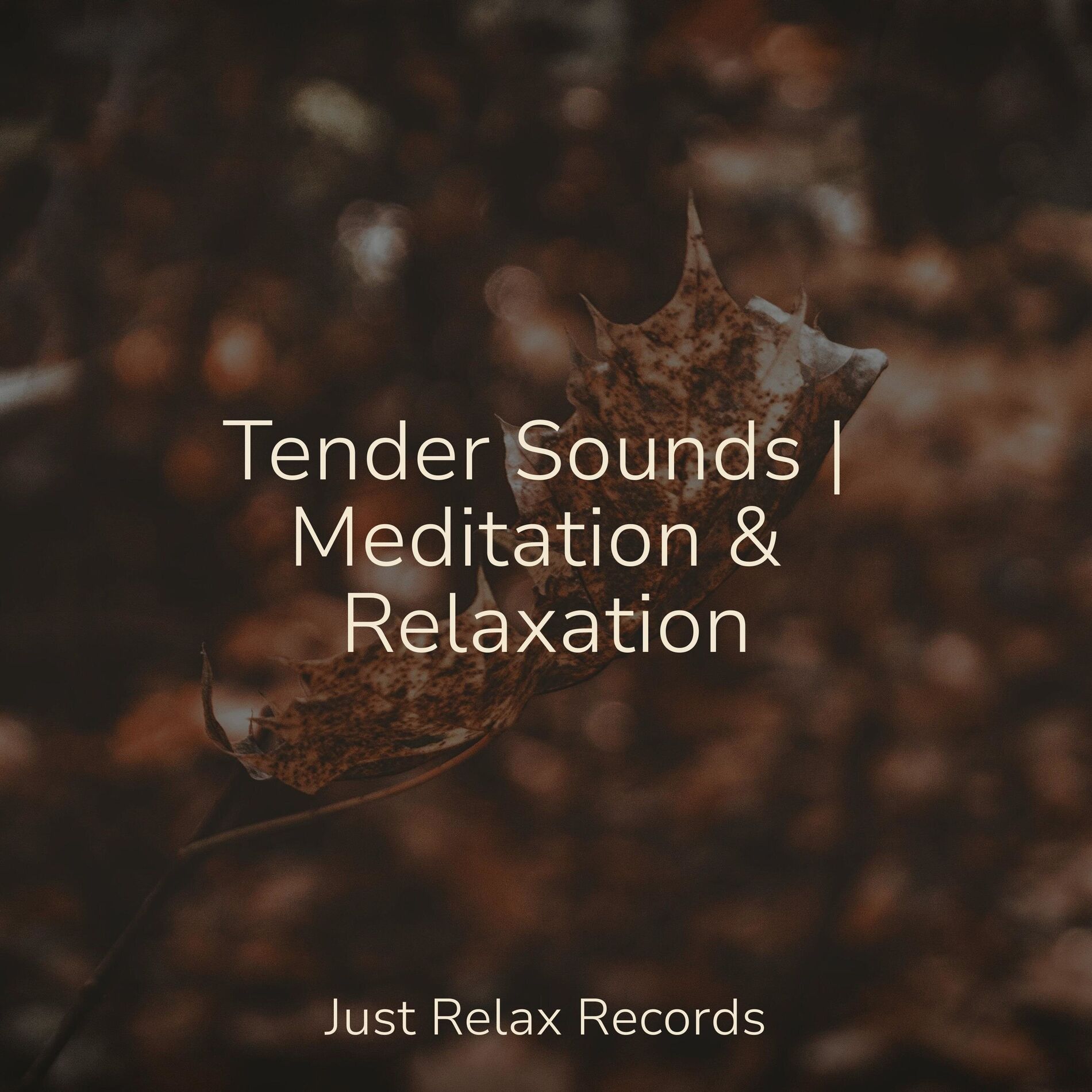 Album cover of Tender Sounds | Meditation & Relaxation