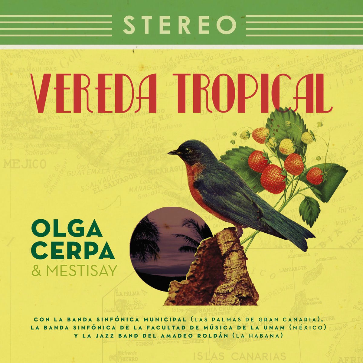 Album cover of Vereda Tropical