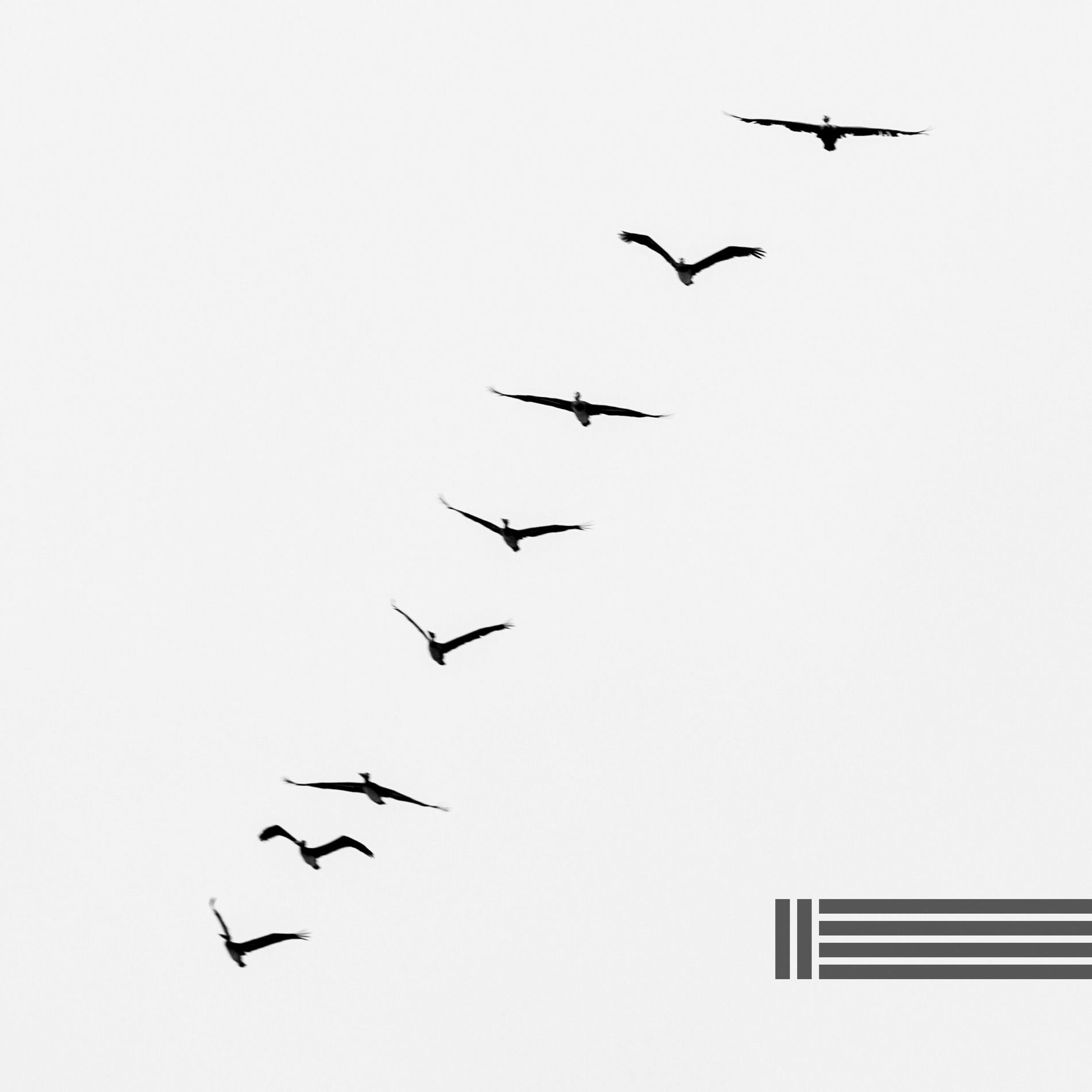 Album cover of Sons Agréables d'Oiseaux Et De Forêt