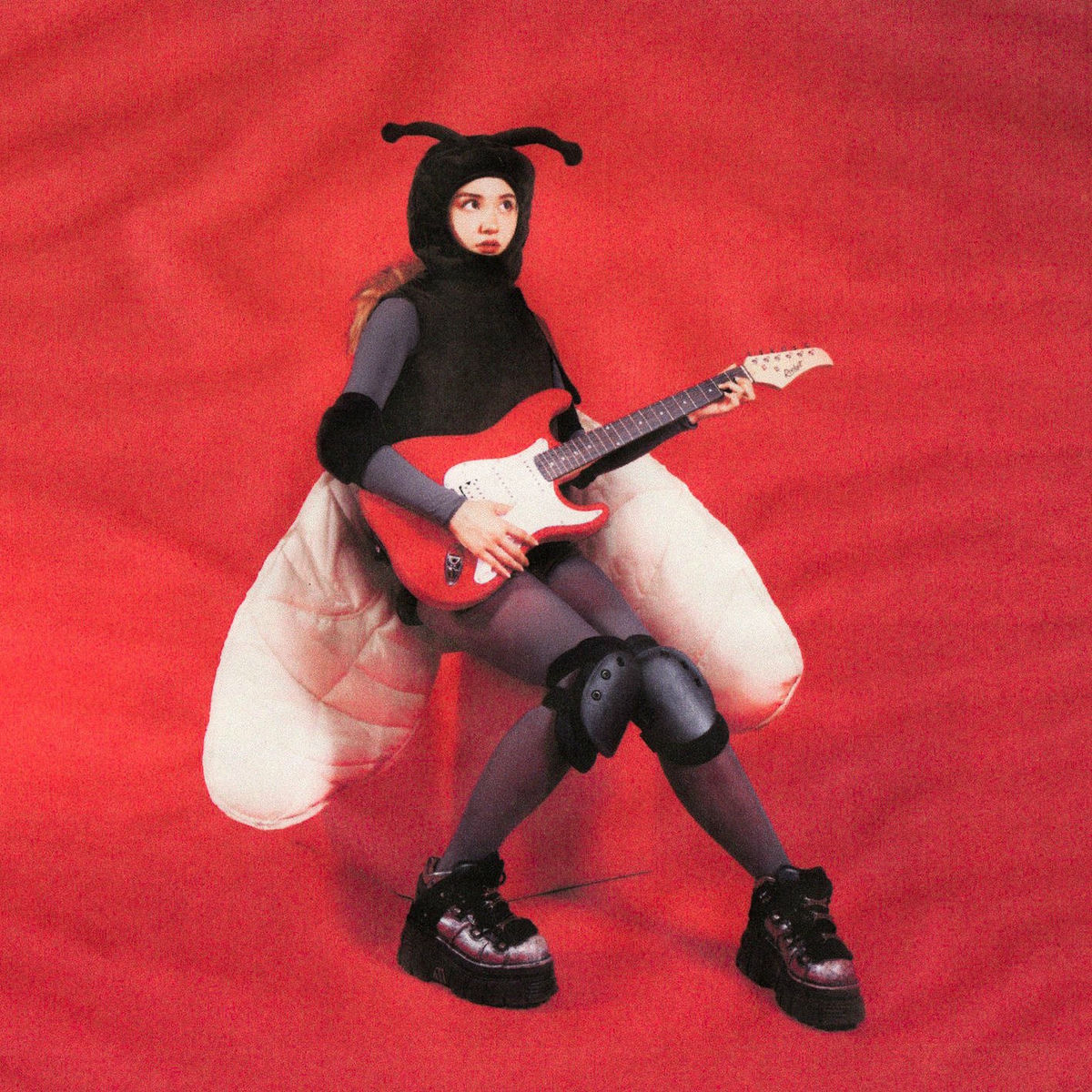 Album cover of I'm a Moth!!