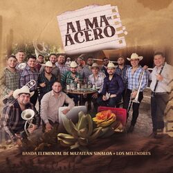 Cover of Alma De Acero