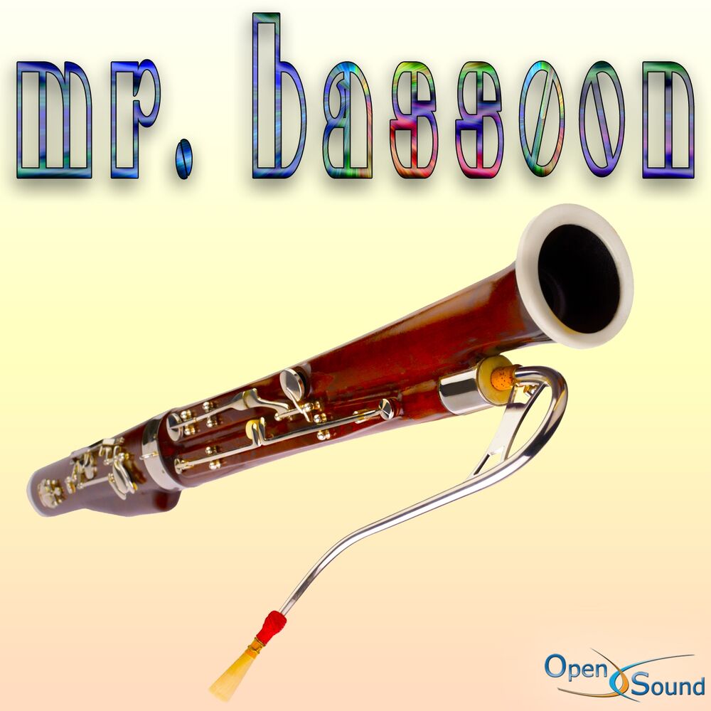 Picture of Mr. Bassoon