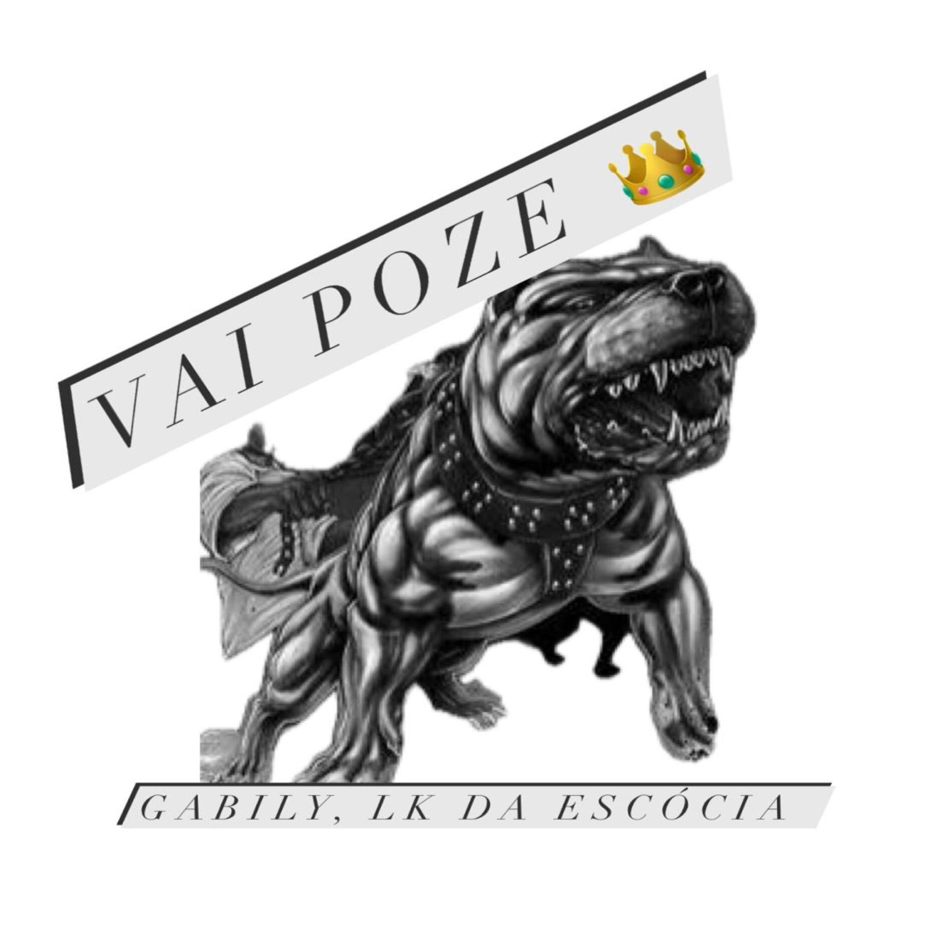 Album cover of Vai Poze