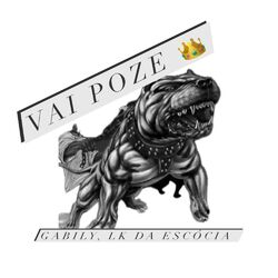Cover of Vai Poze