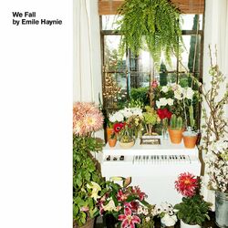 Cover of We Fall