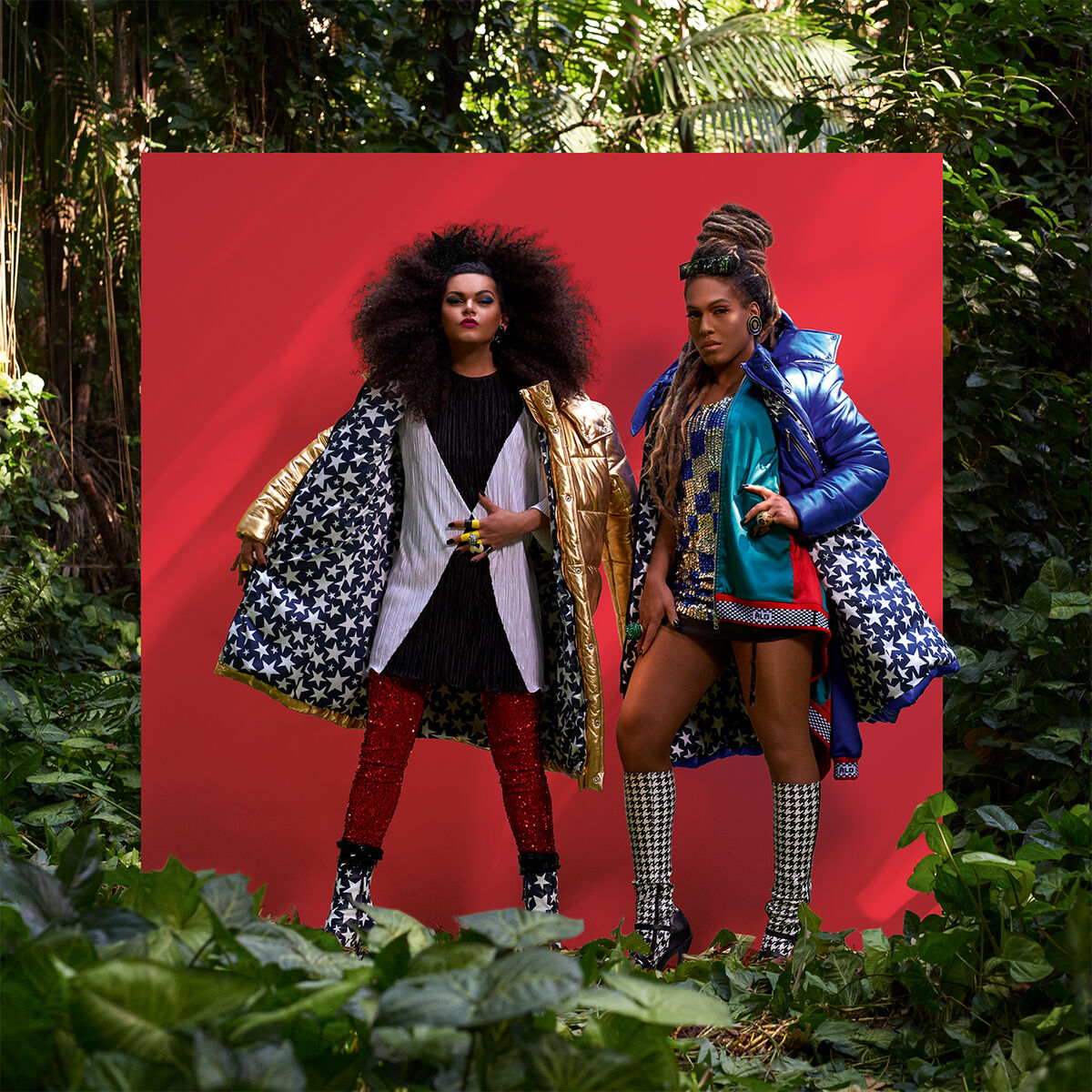 Album cover of Bixa