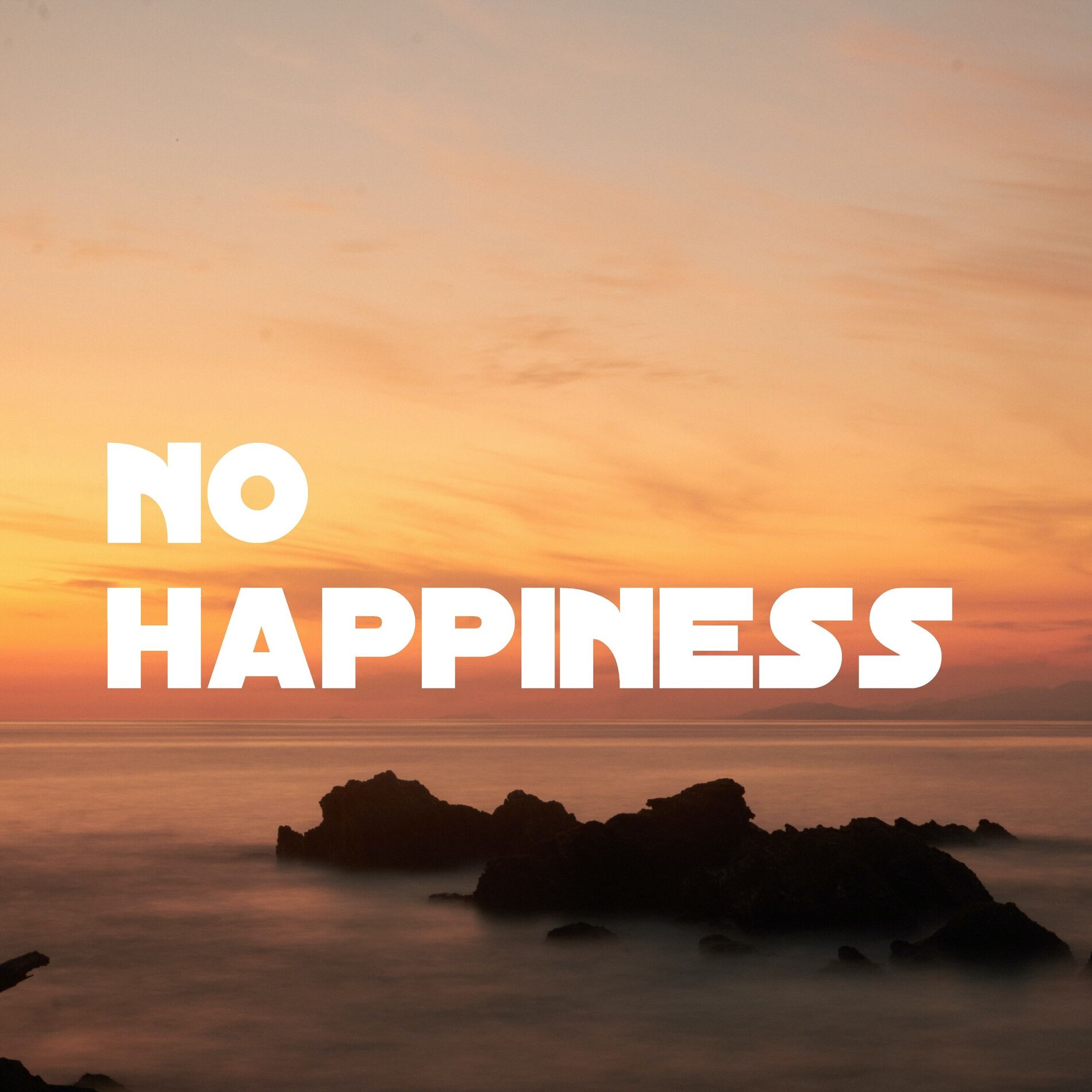 Album cover of No Happiness