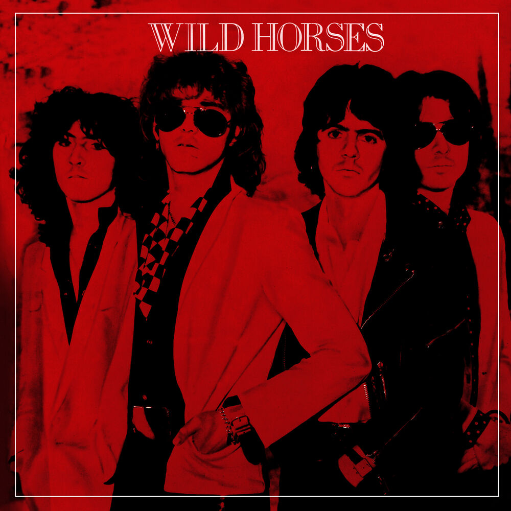 Picture of Wild Horses