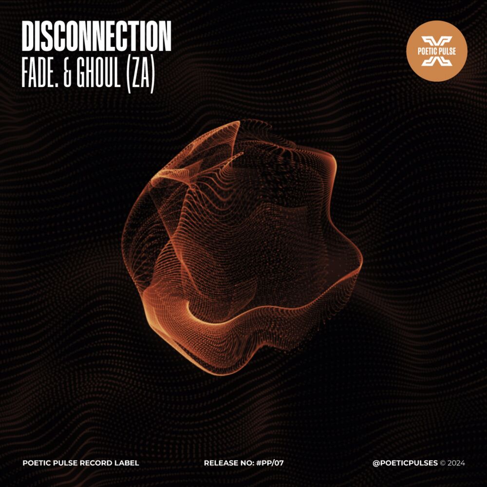 Picture of Disconnection