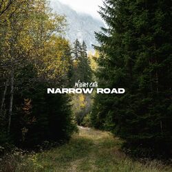Cover of Narrow Road
