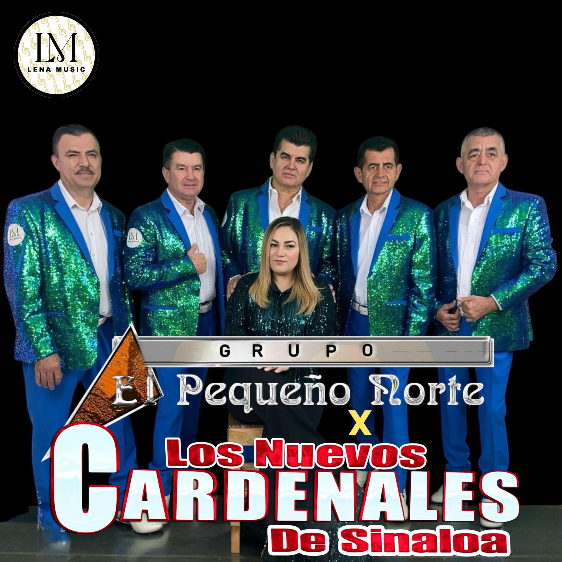 Album cover of QUE DIJISTE TU (En Vivo)