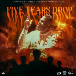Cover of Five Tears Drop