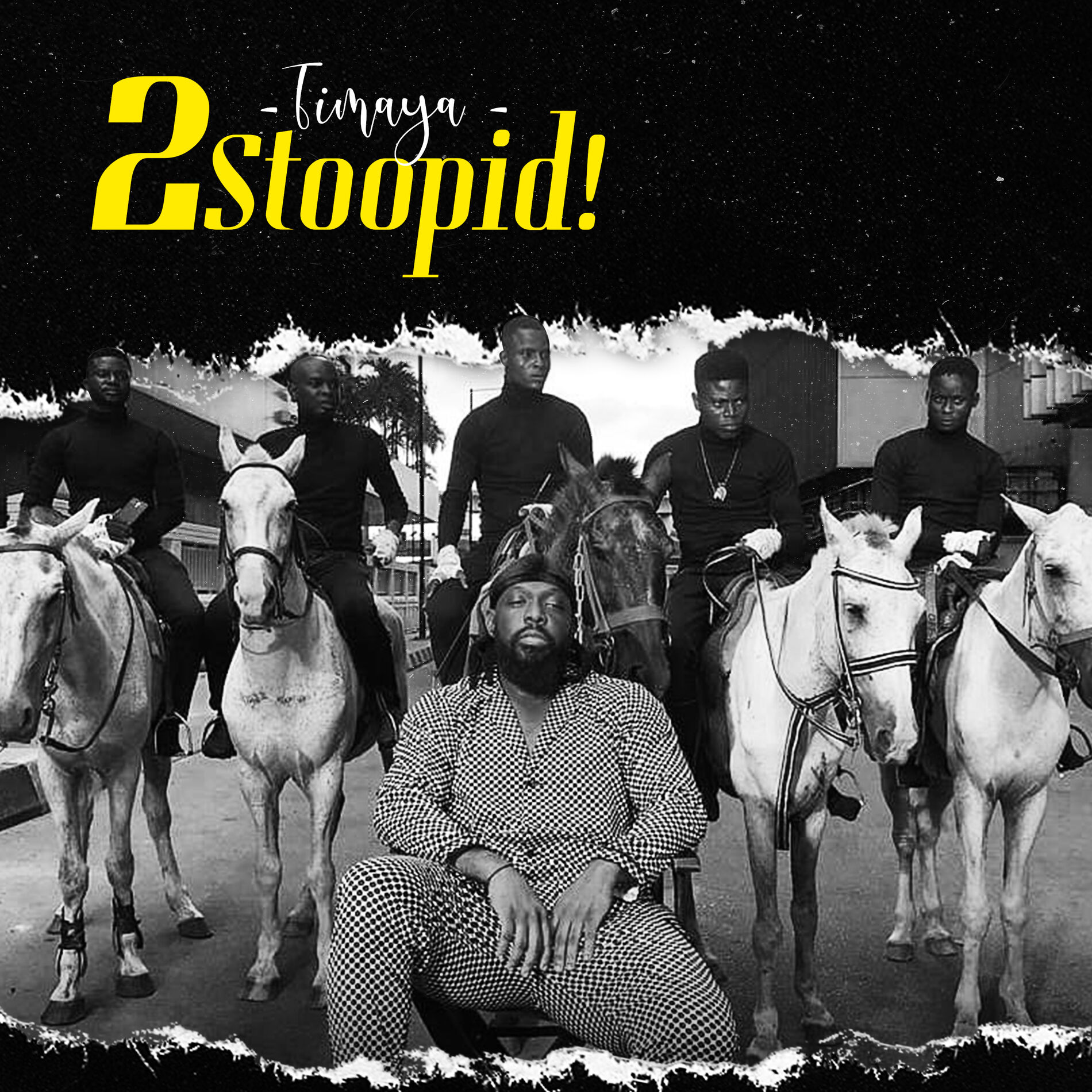 Album cover of 2 Stoopid