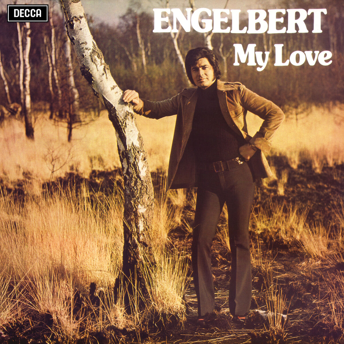 Album cover of Killing Me Softly With His Song