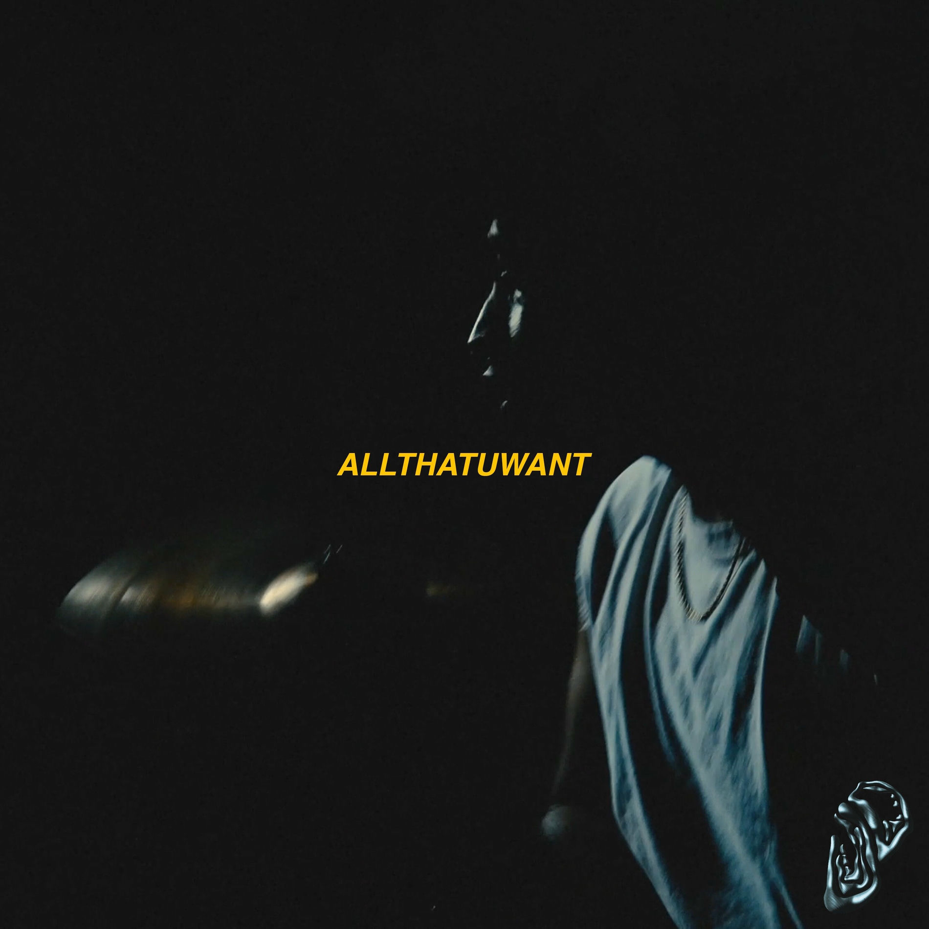 Album cover of ALL THAT U WANT