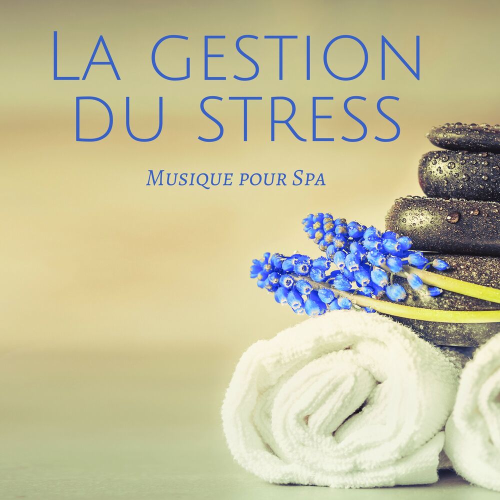 Picture of La gestion du stress: Musique pour Spa, Musique pour massage et relaxation pour douleurs musculaires