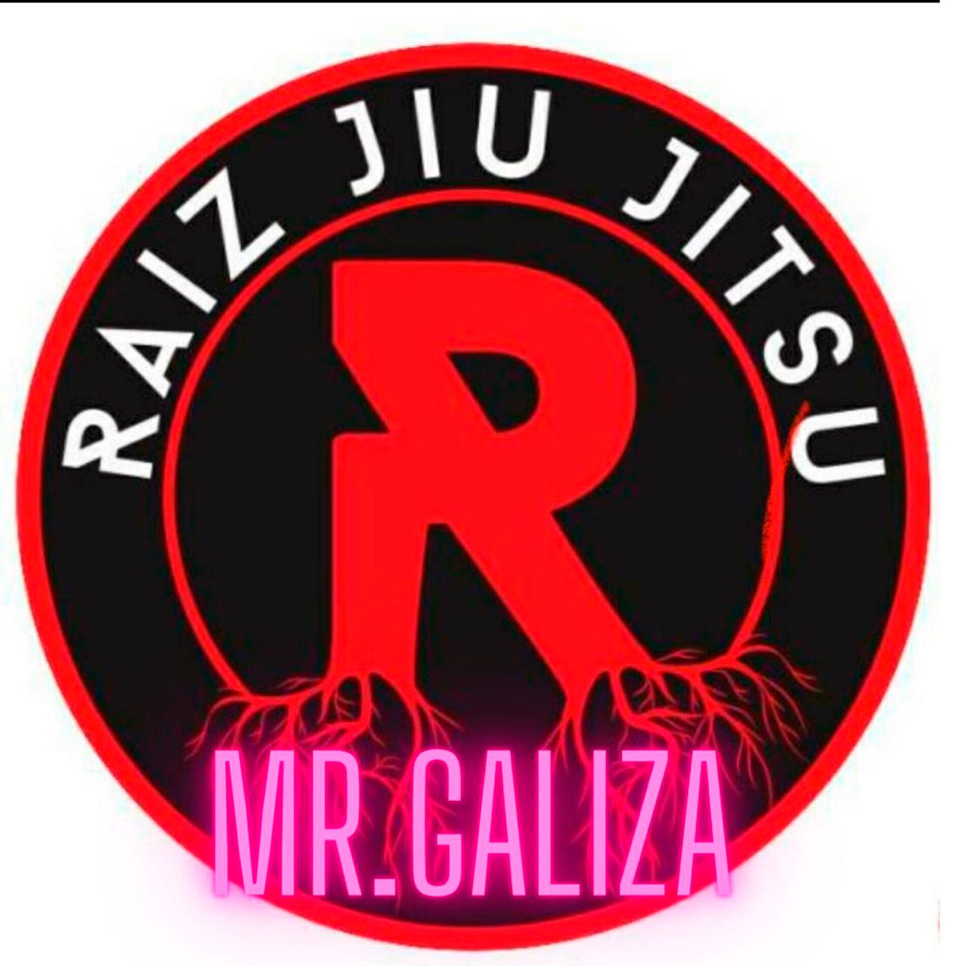 Album cover of Raiz Jiu Jitsu