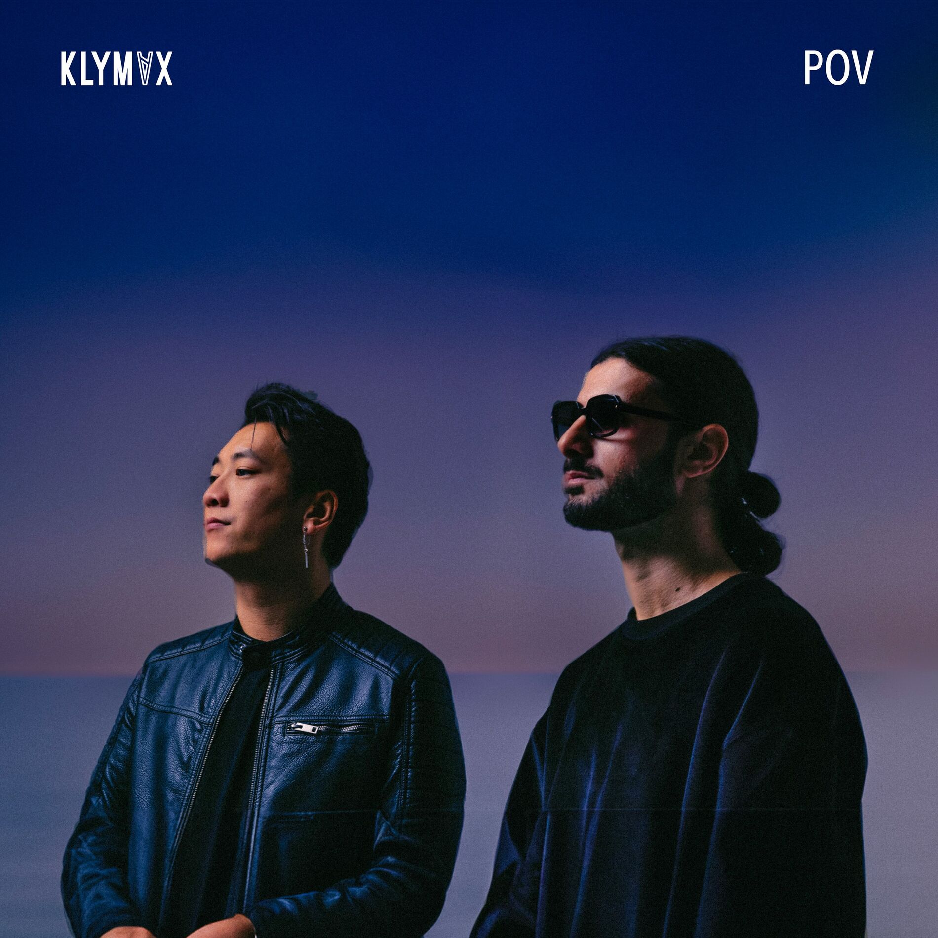 Album cover of POV