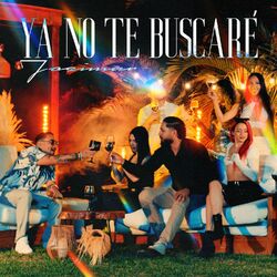 Cover of Ya No Te Buscaré