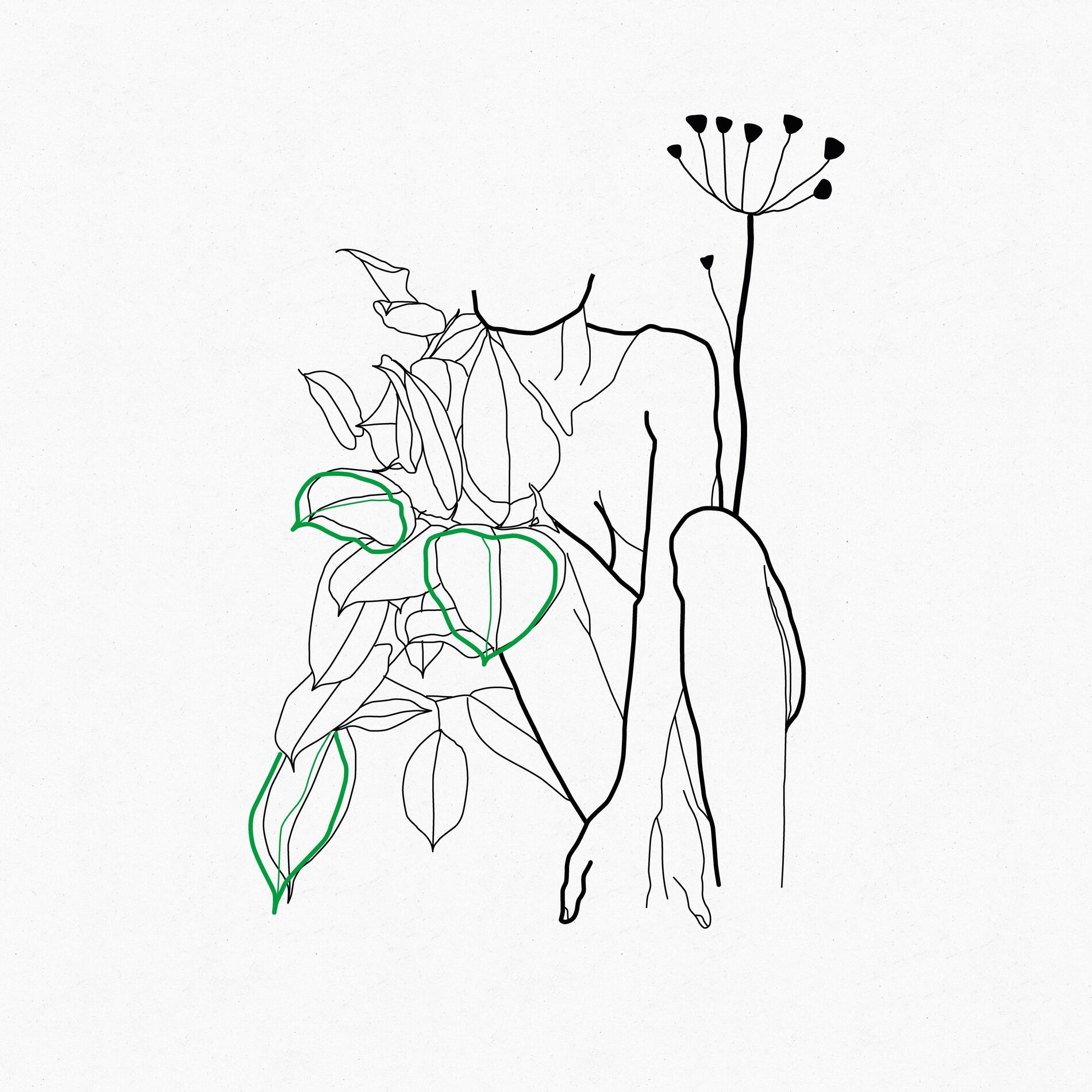 Album cover of Run Away