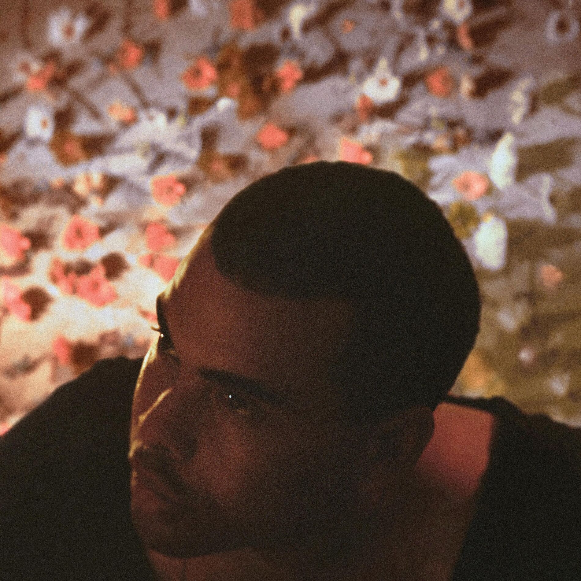 Album cover of Pleasure Terrain
