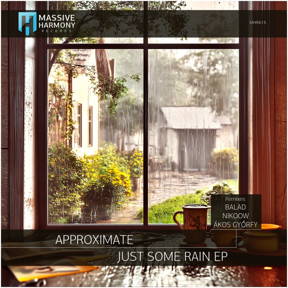 Picture of Just Some Rain