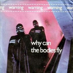Cover of Why Can the Bodies Fly
