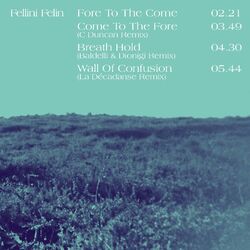 Cover of Temporary Fiction (Remixes)