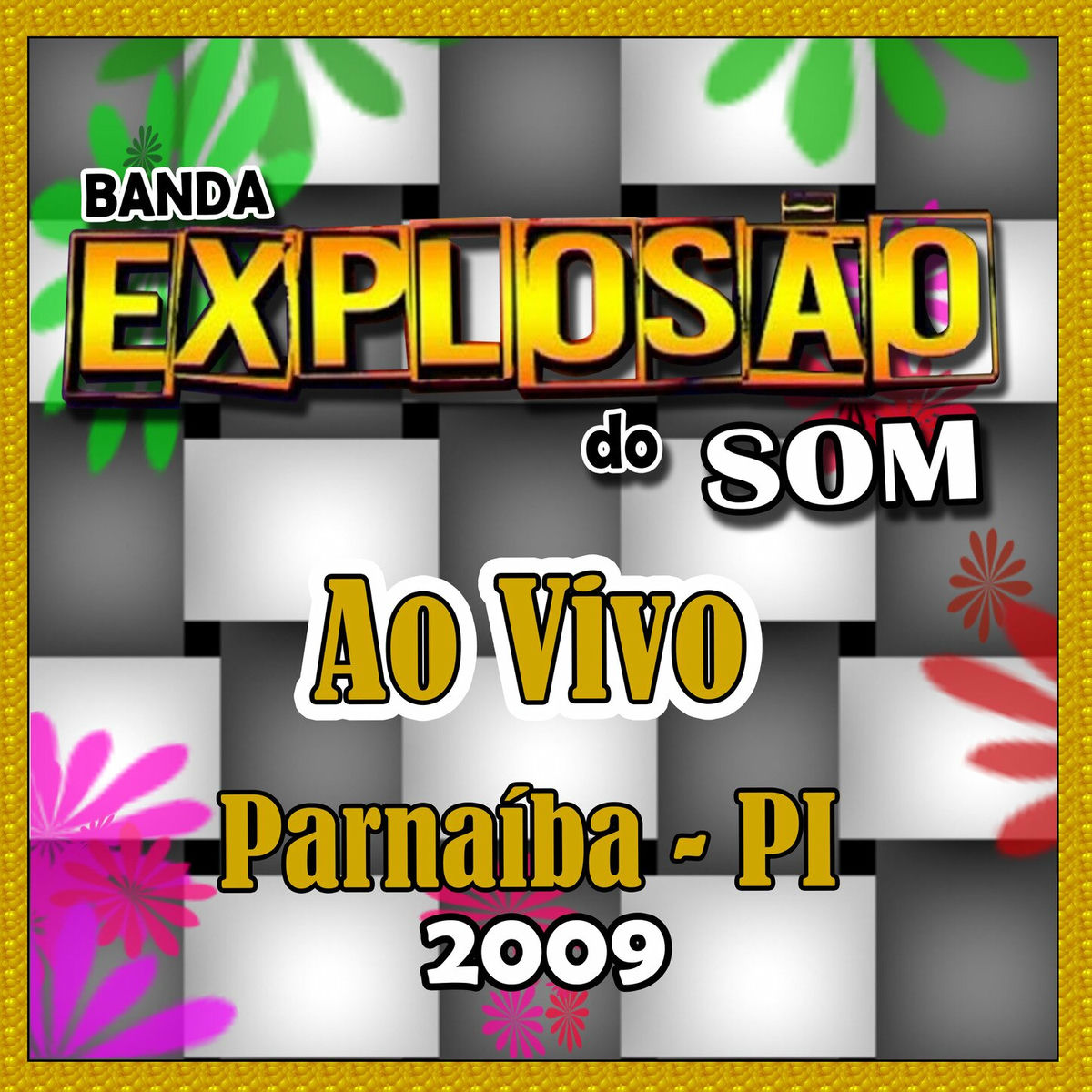 Album cover of AO VIVO EM PARNAÍBA PI - 2009