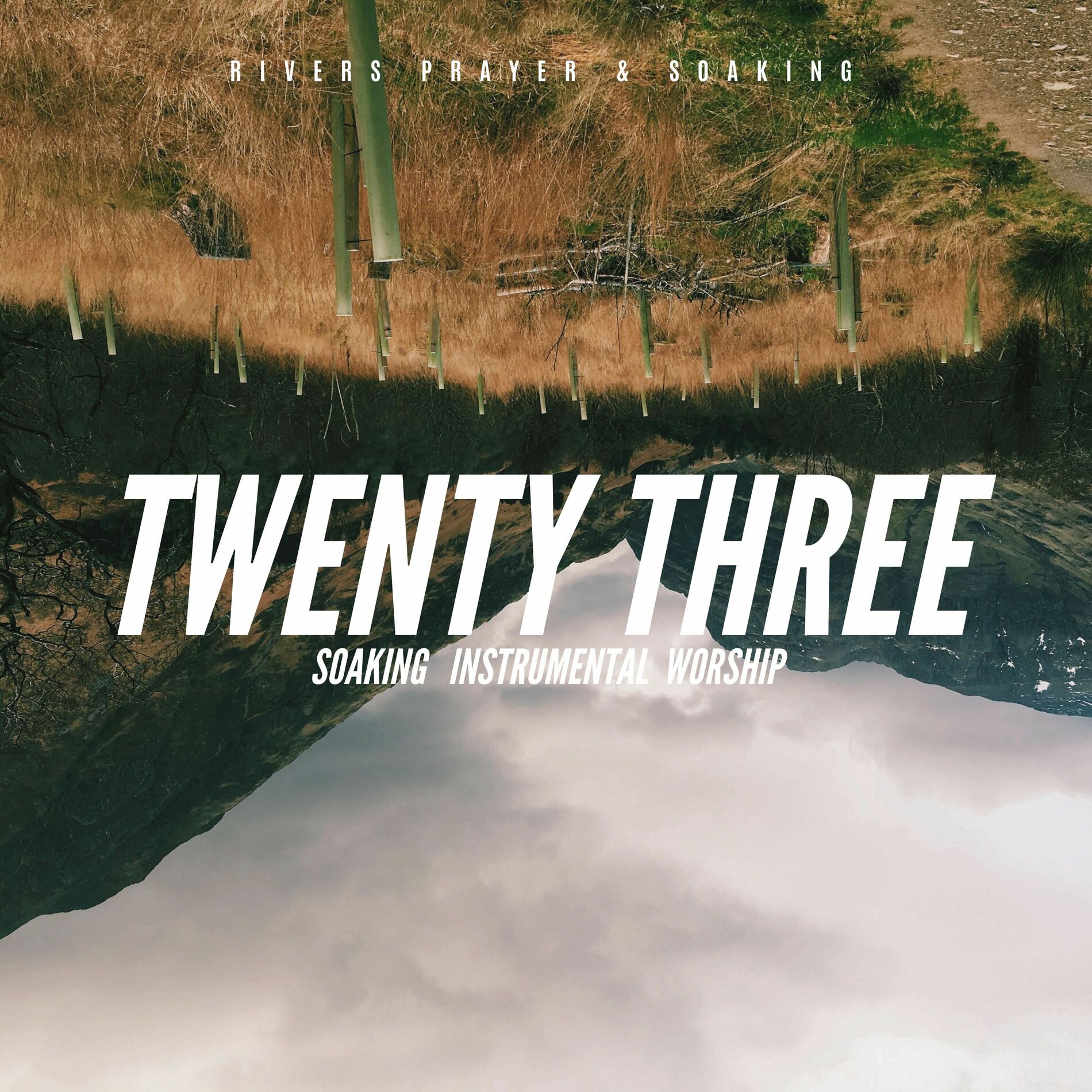 Album cover of Twenty Three